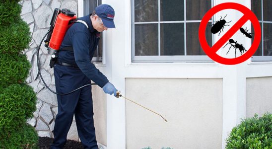 Tekirdağ Bit İlaçlama böcek ilaçlama ve haşere kontrolü — ilaclama-tr.com